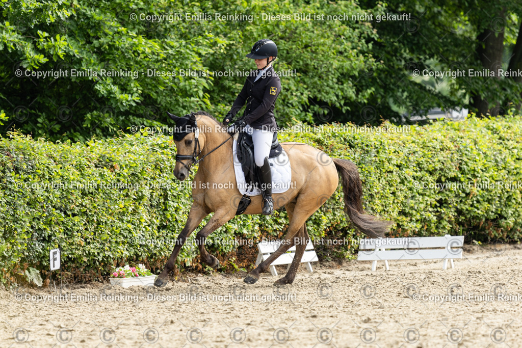 CL5A5331 | Emilia Reinking Fotografie - Realisiert mit Pictrs.com