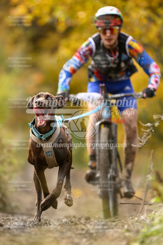 MompixPhotography_ICF_WC_2024_SA_Bike_-373 | PayLife