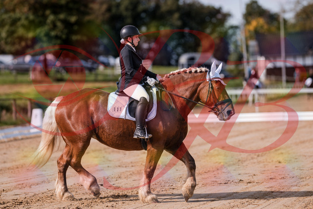2026_10_03_Siefer-Hof_114106_Z81_83930535 | Professionelle Reitsport-, Turnier- und Eventfotografie von Robert Broda. Galerien mit ausgewählten und bearbeiteten Bildern direkt online ansehen und bestellen.