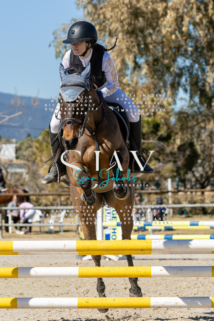 IMG_9443 | s-jay-photography - Realisiert mit Pictrs.com