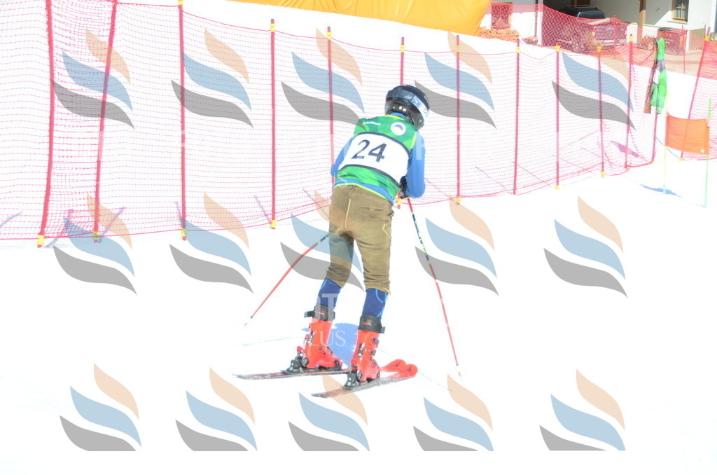 C6891 | holidayphoto