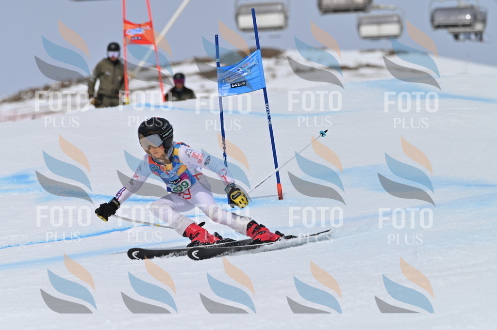 BGV_4044 | holidayphoto