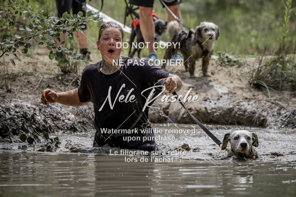 nelerasche_so1330-1400_174 | nelerasche