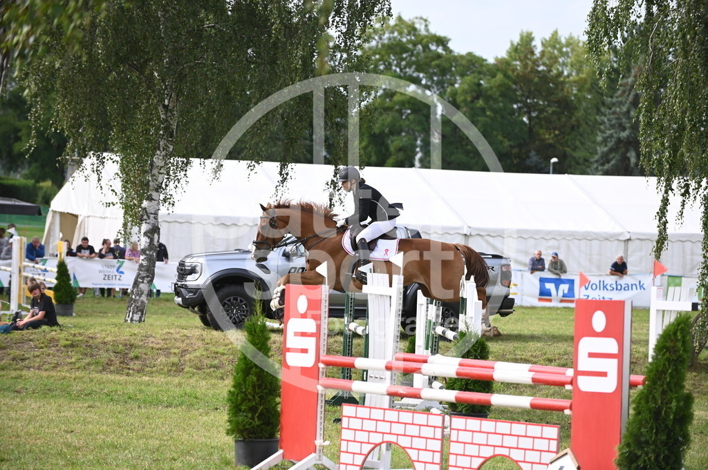 DSC_3144 | sattelsport - Realisiert mit Pictrs.com