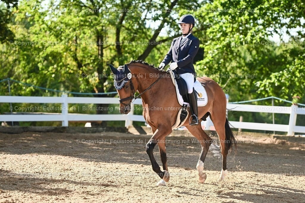 20230715_06_Dressurpferdeprfg. Kl.A_0220 | equistock