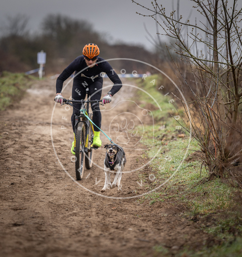 DV3A8859 | Hundefotografie, Tierfotograf, Pfotenfotografie, Fotoshooting Hund, Hunde Portrait, Hundesport, Hundeportraits, Heideshooting, Hunde, Sportfotograf, Hundefotograf, Turnierhundsport, THS,  - Realisiert mit Pictrs.com