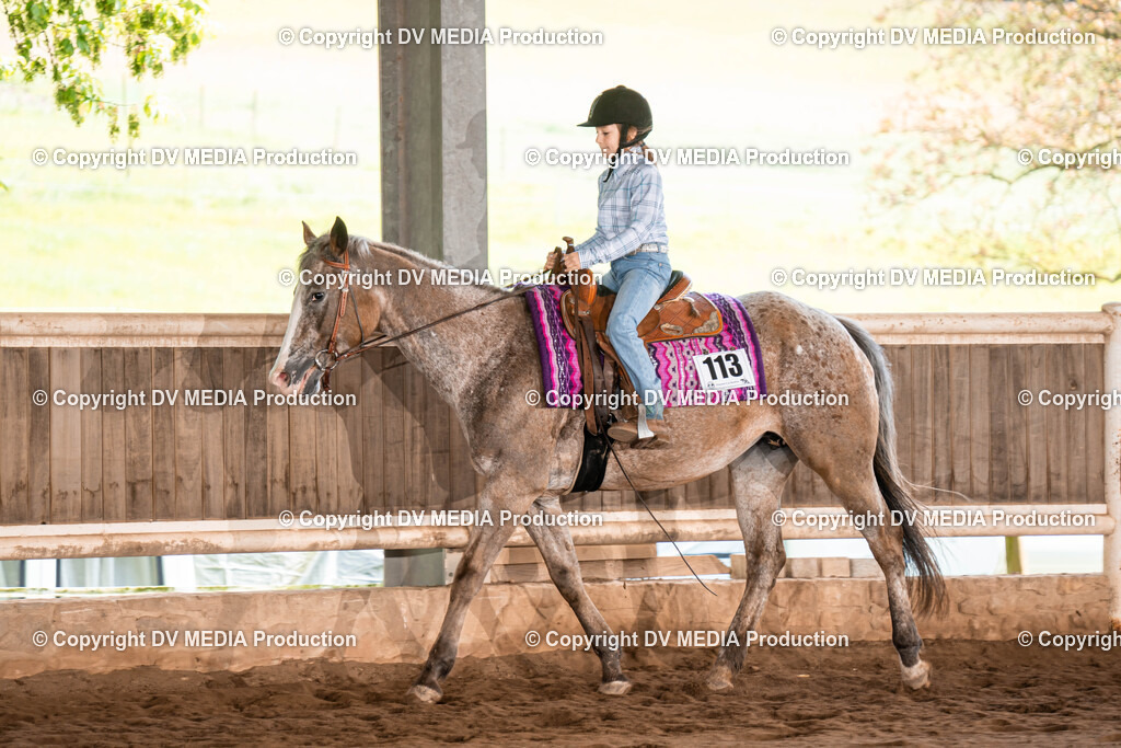 Erbach Tag 1-265 | dv-media-shop - Realisiert mit Pictrs.com