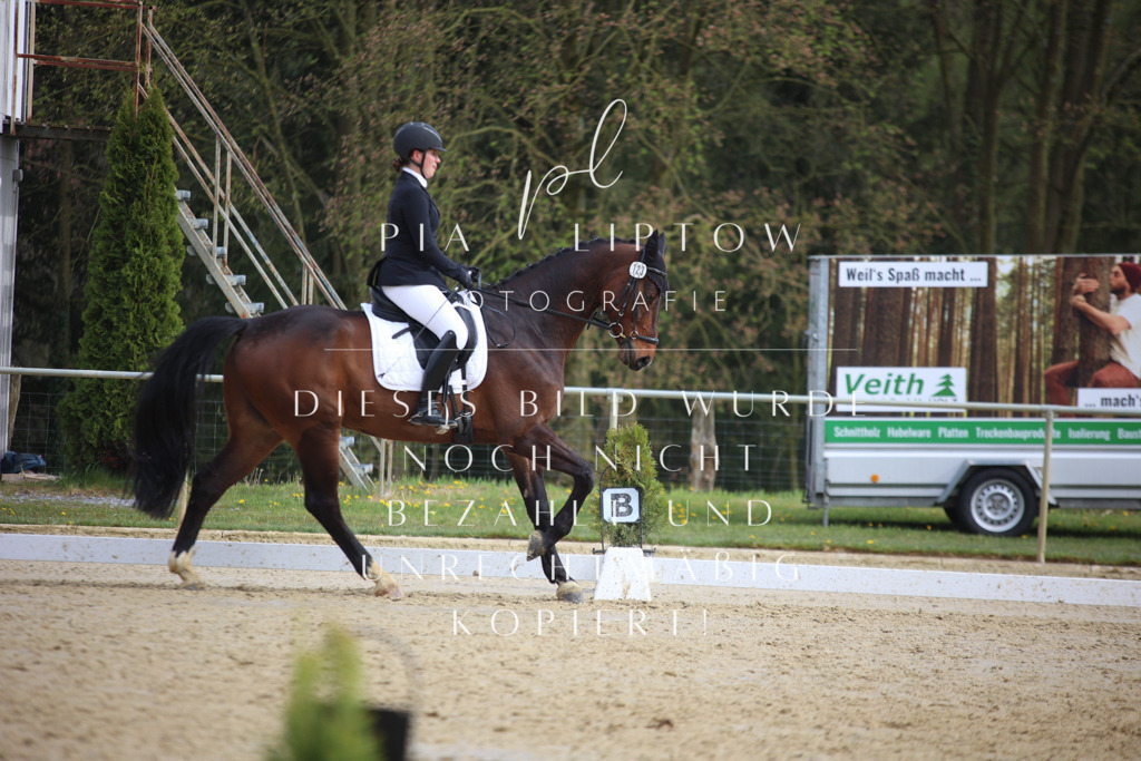 IMGT6577 | pl-fotografie