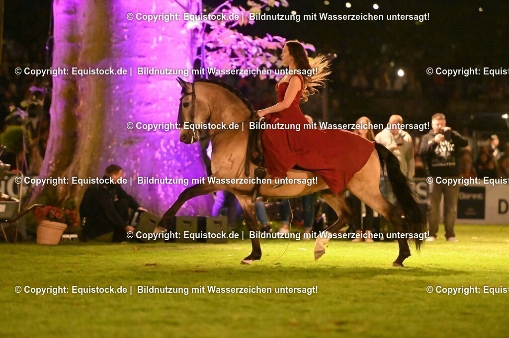 20230526_Pferdenacht_1396 | equistock