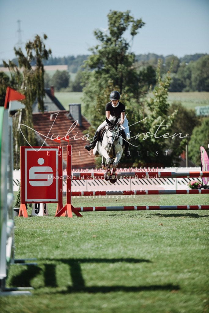DSC_3313 | Pferde- und Turnierfotografie in Westsachsen. Pferdeportraits, Auftragszeichnungen und intuitive Kunst.