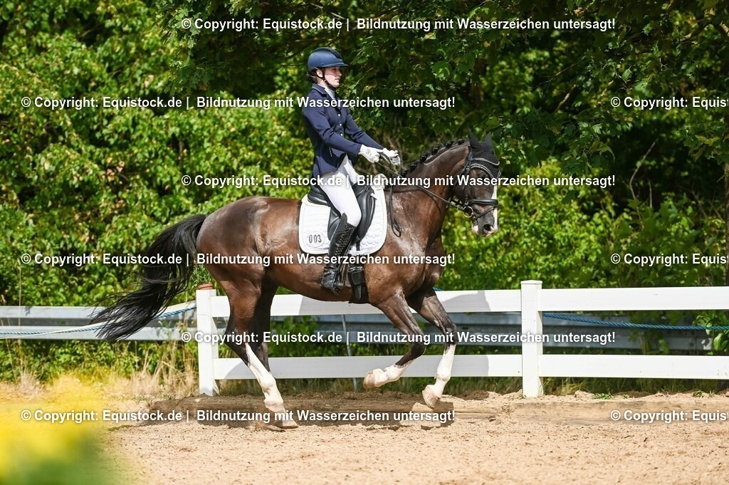 20230715_02_Dressurreiterprüfung Kl.L_0291 | equistock