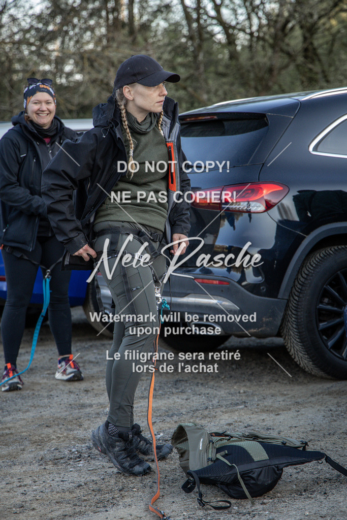 NR__0119-2 | nelerasche
