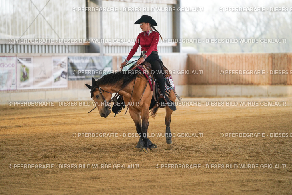 DSC08561 | Pferdegrafie