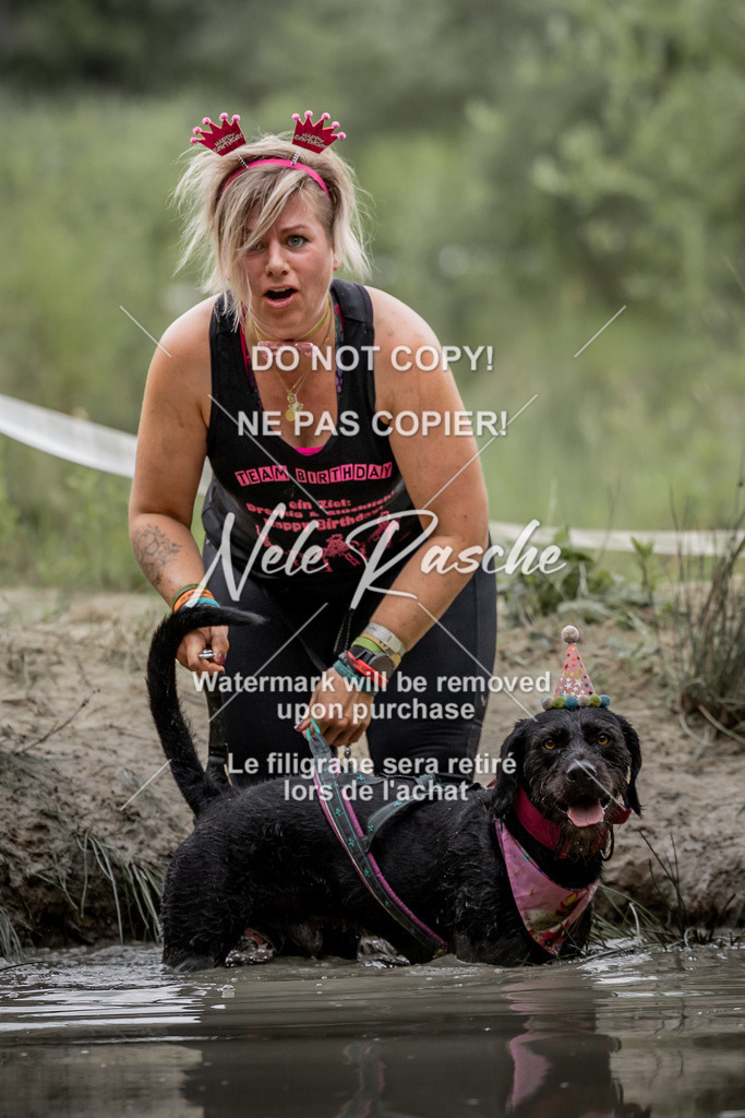 nelerasche_so0800-0930_399 | nelerasche