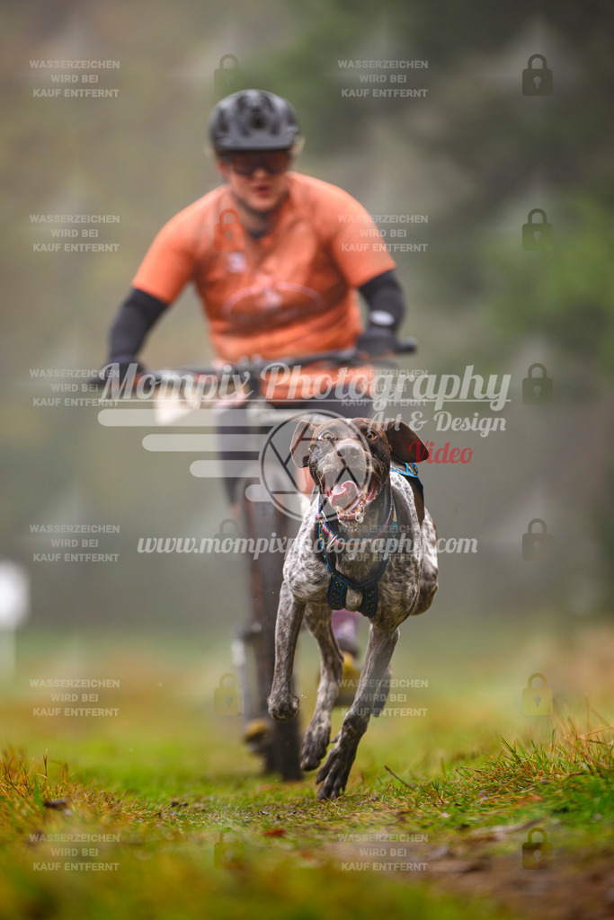 MompixPhotography_Bischwiller2025_Scooter-30 | mompixphotography