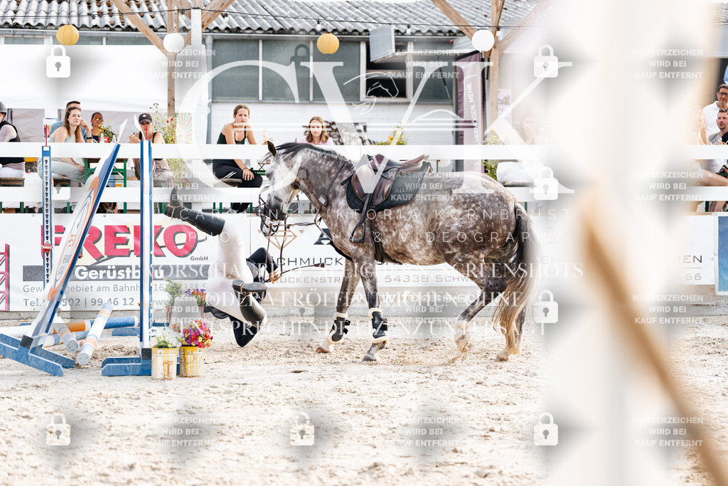 CK907052 | Turnierfotografie Pferdefotografie Trier Rheinland-Pfalz Pferdesport Reitsport Tierfotografie Sportfotografie Pferdevideo Pferdevideografie Equestrianvideography equestrianphotography  - Realisiert mit Pictrs.com
