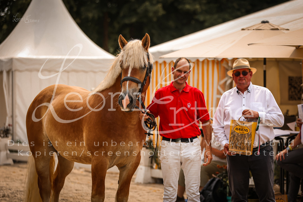 3.Sa00098 | Leoni Ertmer Photography - Realisiert mit Pictrs.com