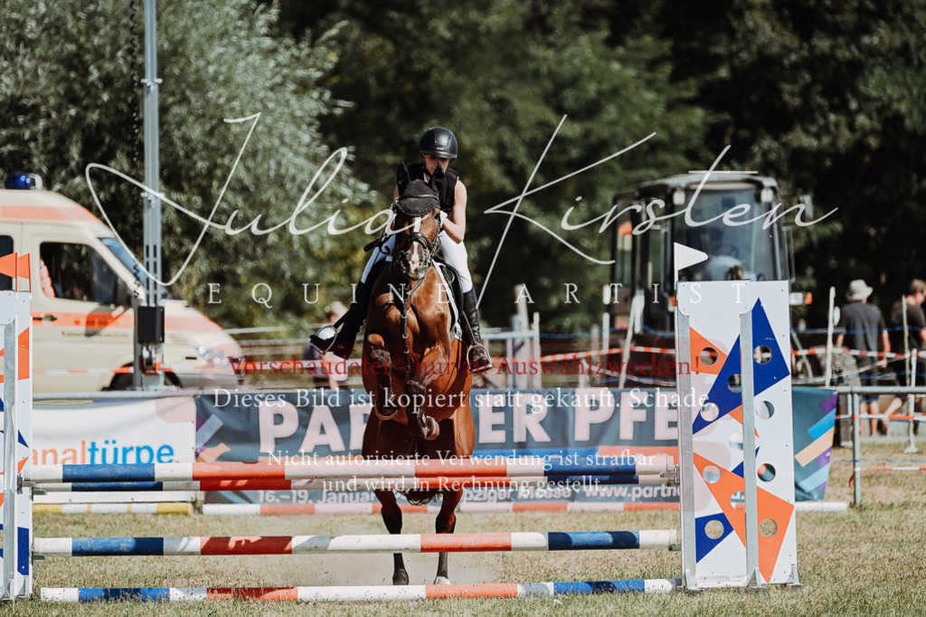 DSC_9554 | Pferde- und Turnierfotografie in Westsachsen. Pferdeportraits, Auftragszeichnungen und intuitive Kunst.