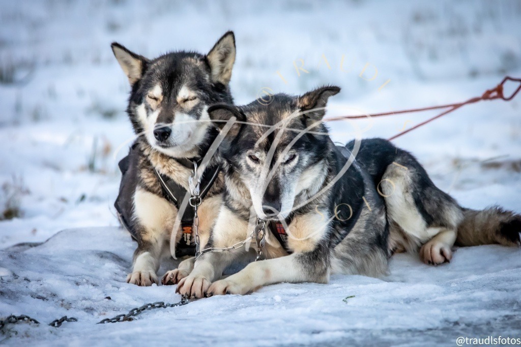 2AA0CE8A-4027-4373-A454-3ADA979712EE | traudl_s_fotos