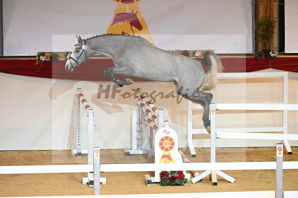 Kat-Nr. 36 Vingino_Stahl_1231082 | hf-fotografie - Realizzato con Pictrs.com