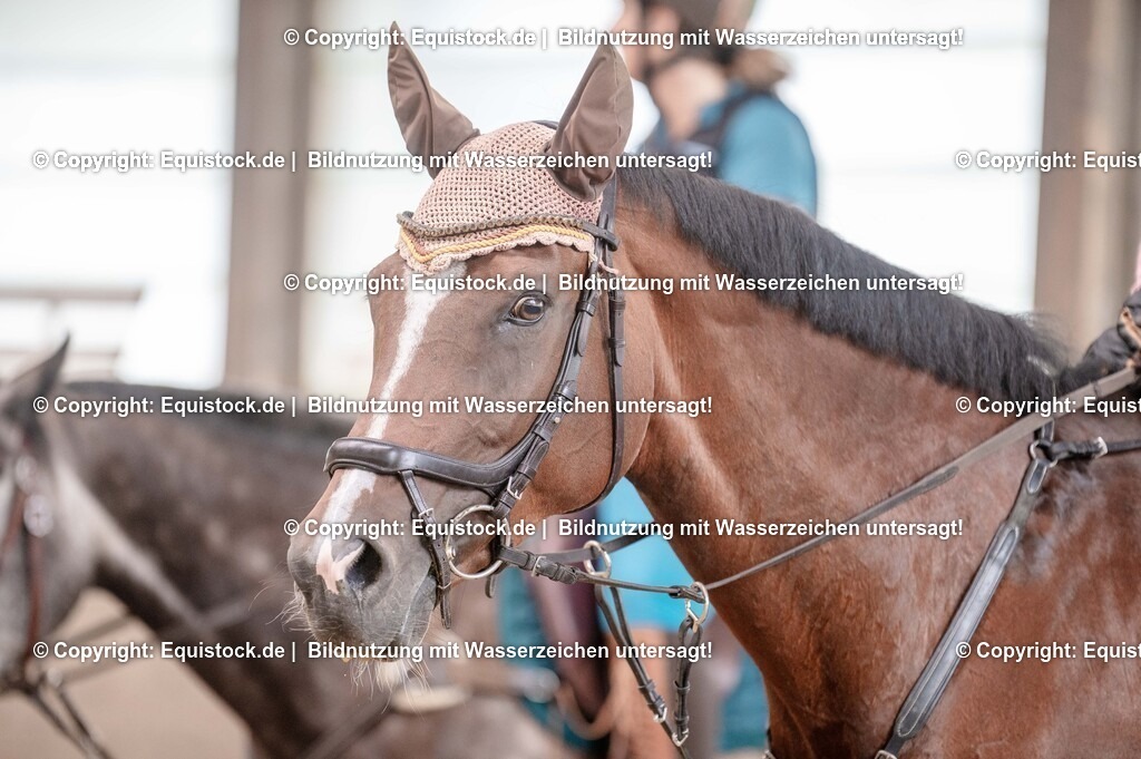 20250725_Vielseitigkeitslehrgang-Marbach_0258 | Foto: Thomas Hartig