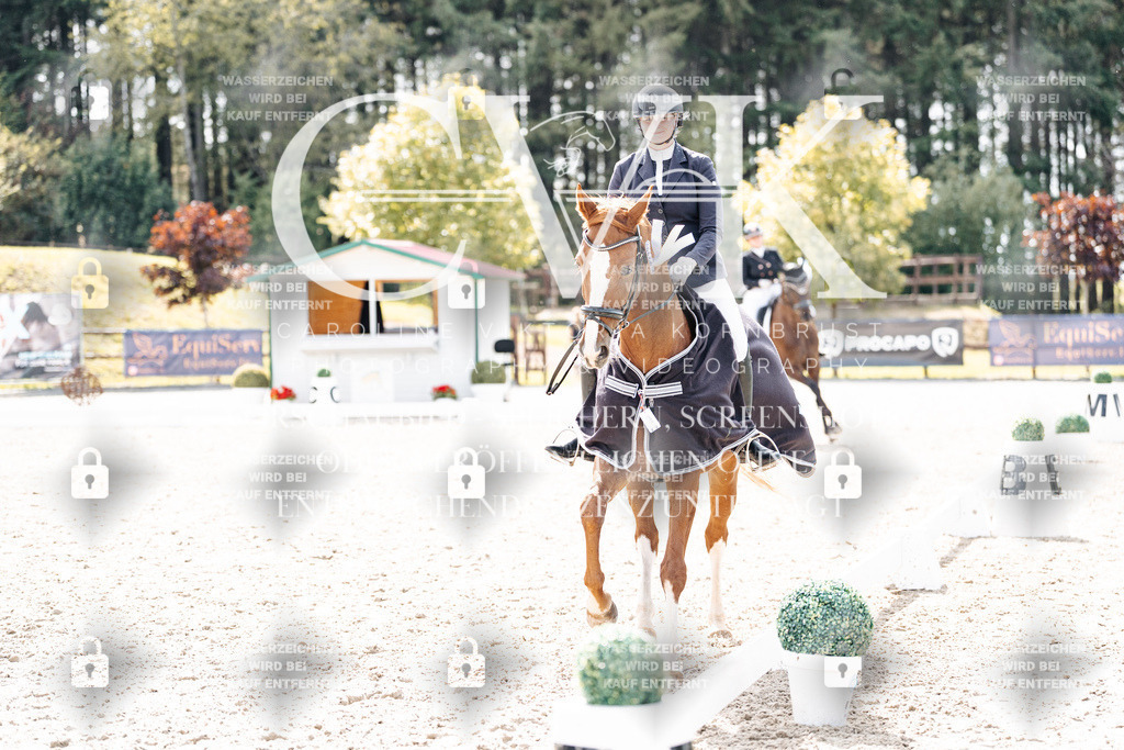 CK901012 | Turnierfotografie Pferdefotografie Trier Rheinland-Pfalz Pferdesport Reitsport Tierfotografie Sportfotografie Pferdevideo Pferdevideografie Equestrianvideography equestrianphotography  - Realisiert mit Pictrs.com