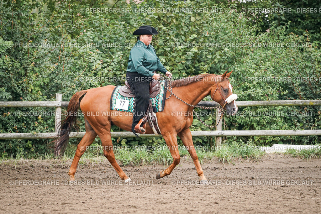 DSC01795 | Pferdegrafie