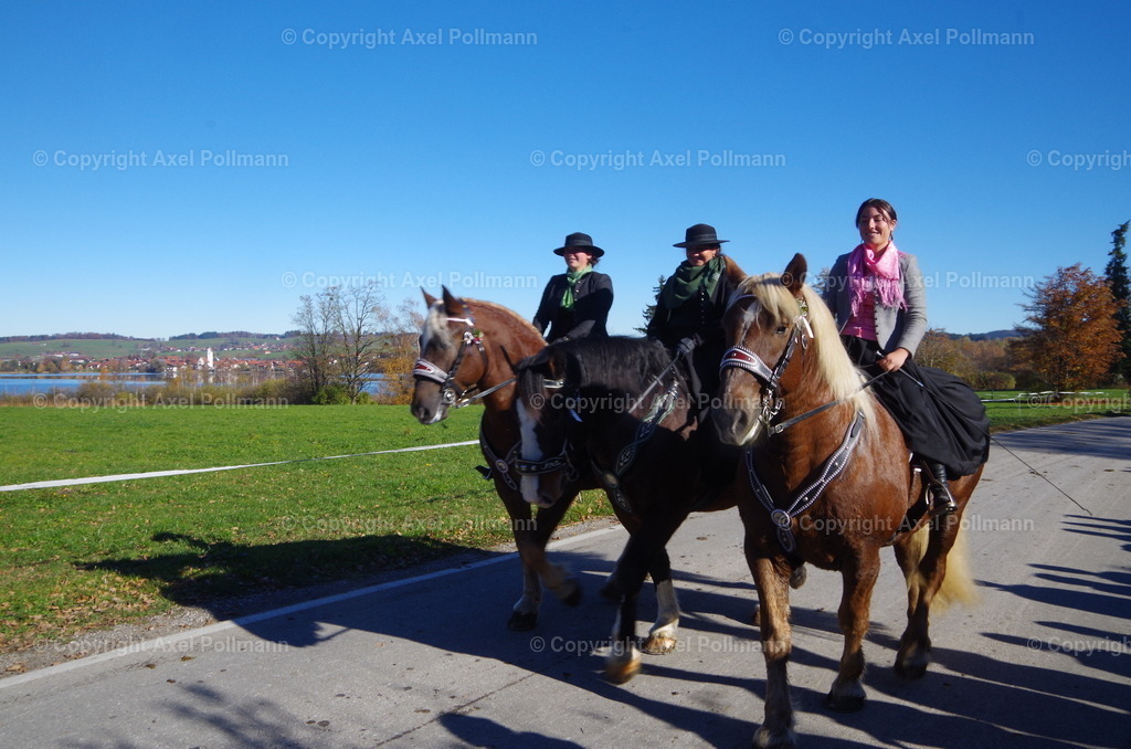 IMGP8209 | fotografiert von Axel PollmannLeonhardi Wallfahrt Benediktbeuern und Murnau, Fronleichnam, Fasching, Landschaft im Loisachtal und Benediktbeuern  - Realisiert mit Pictrs.com