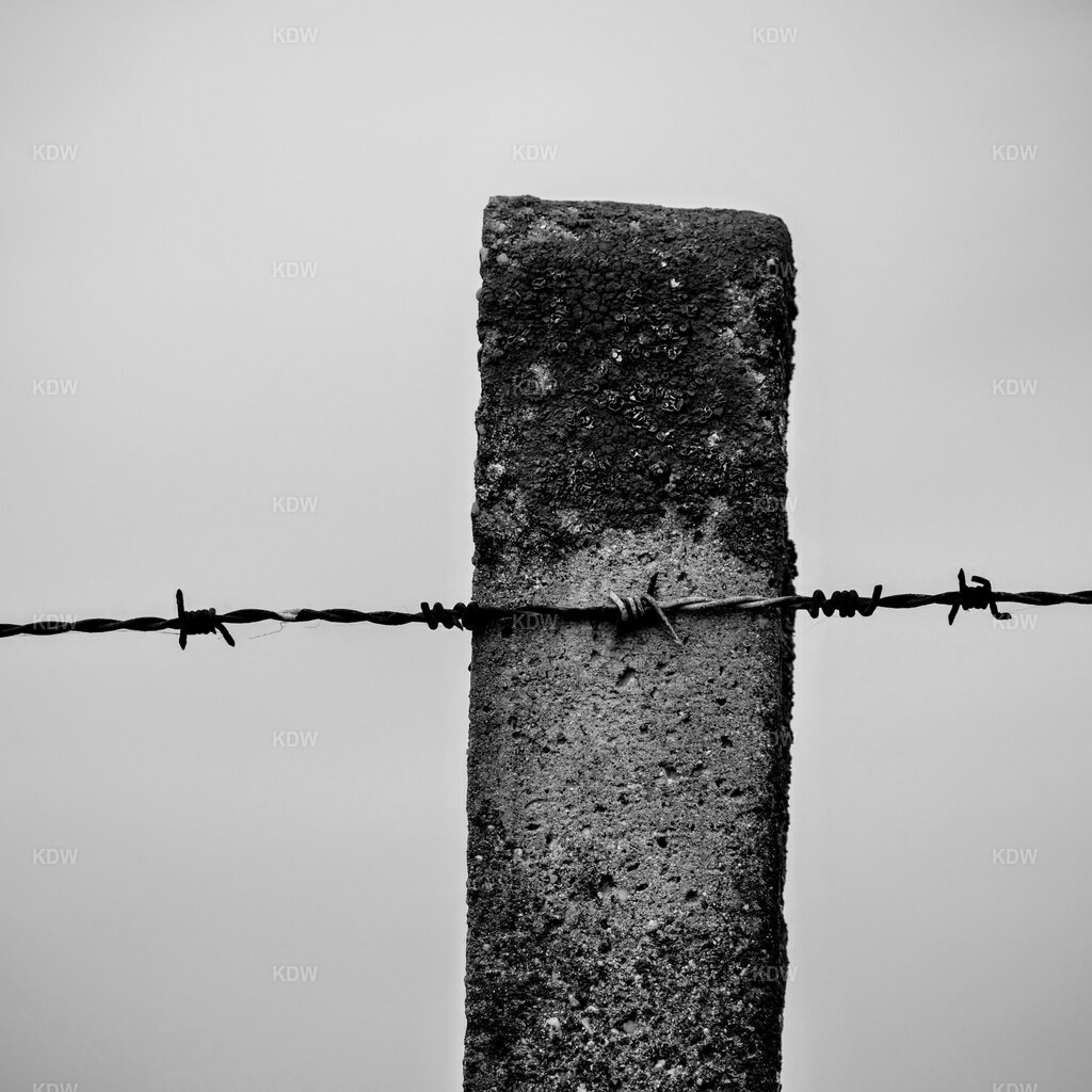 Freedom | Stacheldraht Pfosten - Freiheit für Jeden - Realisiert mit Pictrs.com