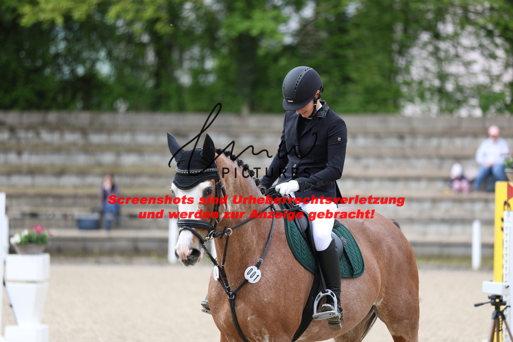 A40A0999 | lmwpictures - Realisiert mit Pictrs.com