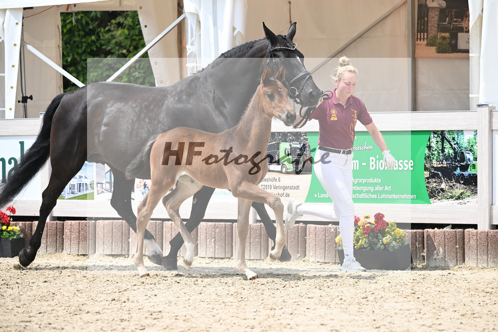 Vitalos x Lord Leopold_SF_Strohmeier_12250898 | hf-fotografie - Realisiert mit Pictrs.com