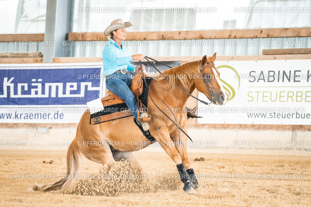 DSC02203 | Pferdegrafie