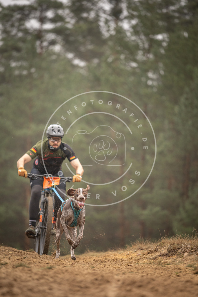 Pfotenfotografie_DV3A3334 | Hundefotografie, Tierfotograf, Pfotenfotografie, Fotoshooting Hund, Hunde Portrait, Hundesport, Hundeportraits, Heideshooting, Hunde, Sportfotograf, Hundefotograf, Turnierhundsport, THS,  - Realisiert mit Pictrs.com