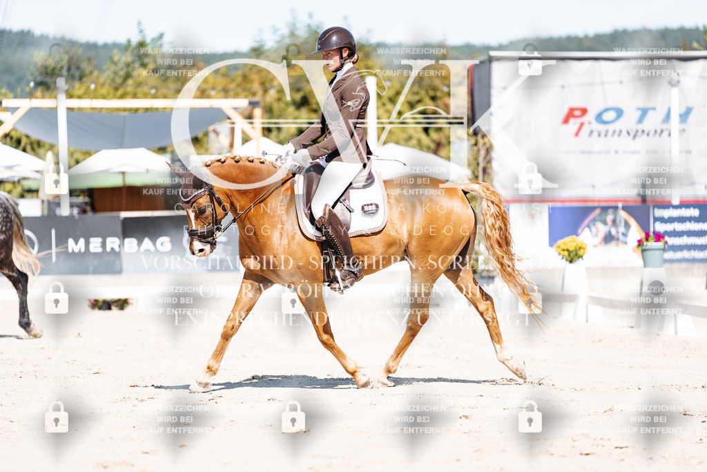 CK909020 | Turnierfotografie Pferdefotografie Trier Rheinland-Pfalz Pferdesport Reitsport Tierfotografie Sportfotografie Pferdevideo Pferdevideografie Equestrianvideography equestrianphotography  - Realisiert mit Pictrs.com