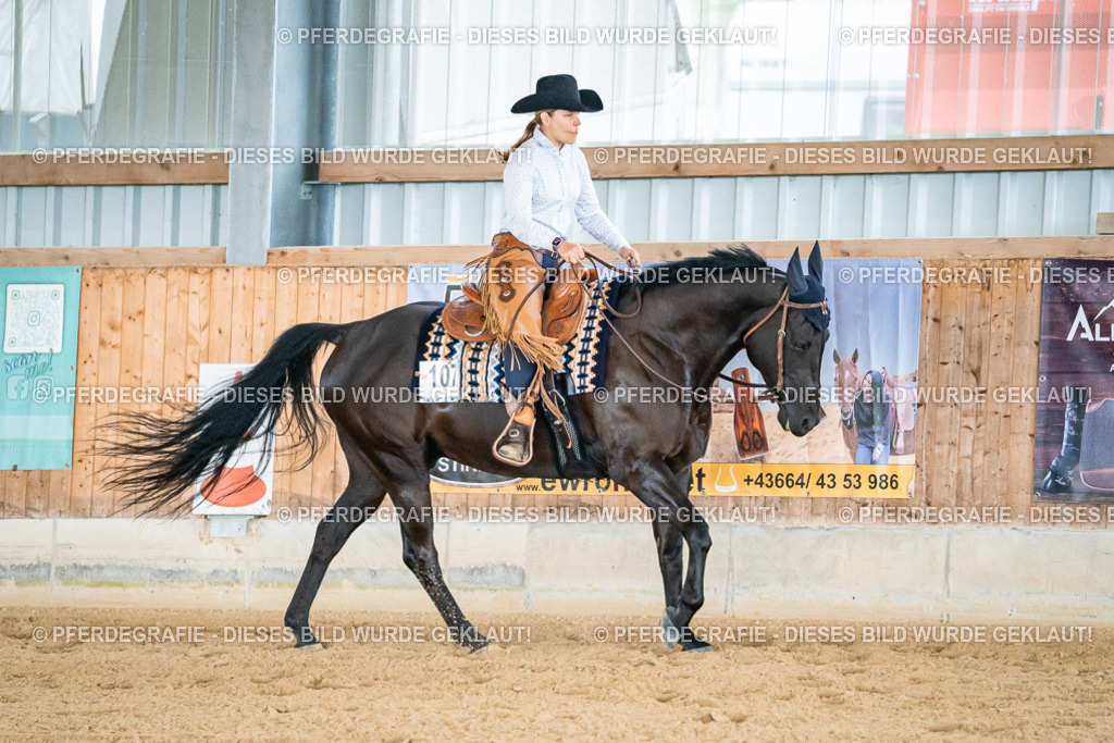 DSC00042 | Pferdegrafie