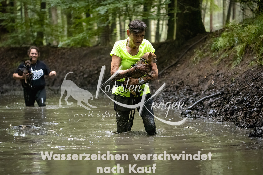 1248_ZZ91446-Bearbeitet | kk-dogfotos