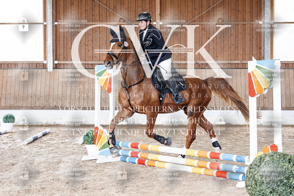 CK902669 | Turnierfotografie Pferdefotografie Trier Rheinland-Pfalz Pferdesport Reitsport Tierfotografie Sportfotografie Pferdevideo Pferdevideografie Equestrianvideography equestrianphotography  - Realisiert mit Pictrs.com
