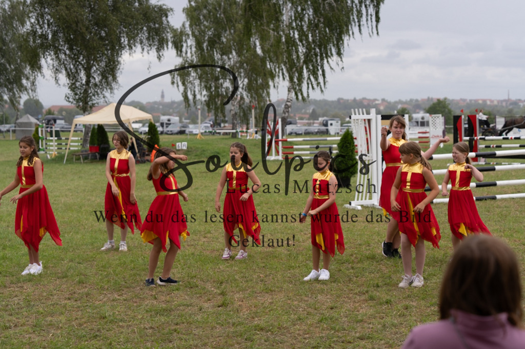 A7V05768 | Pferdefotograf