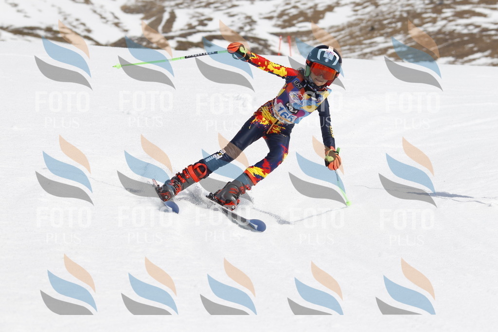 _U3G1445 | holidayphoto