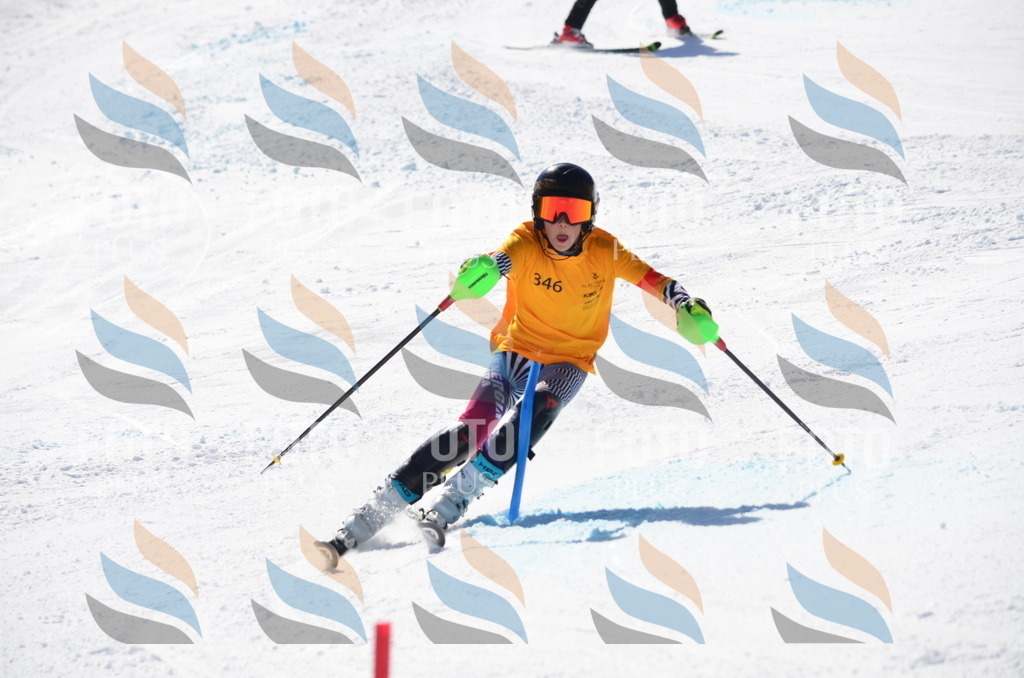 C9767 | holidayphoto