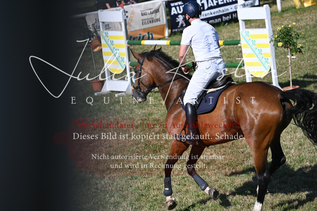 DSC_2158 | Pferde- und Turnierfotografie in Westsachsen. Pferdeportraits, Auftragszeichnungen und intuitive Kunst.