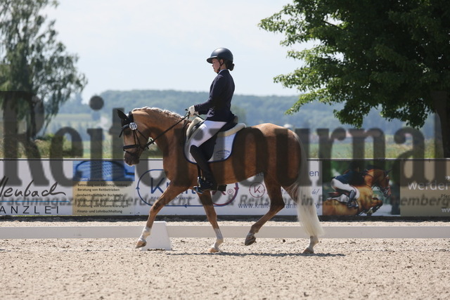 Rot am See_2024_Prfg.Nr.21_Qual.BCH_und_LCH_5-jähr.Ponys_Mona Honold_Erna 65 (4) | Alle Fotos der Reiterjournal Fotografin Doris Matthaes im Reiterjournal Online-Fotoshop. - Realisiert mit Pictrs.com