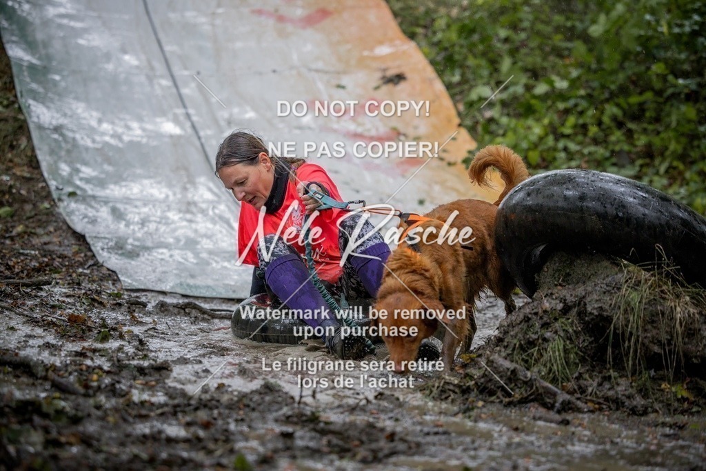 nelerasche_Hunsrück_Sa1030-1100_304-final | nelerasche