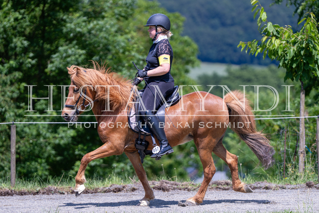 KAI04006 | Ihr sucht einen Fotografen für eure nächste OSI? Ich begleite auch euer Turnier für Islandpferde fotografisch.  - Realisiert mit Pictrs.com