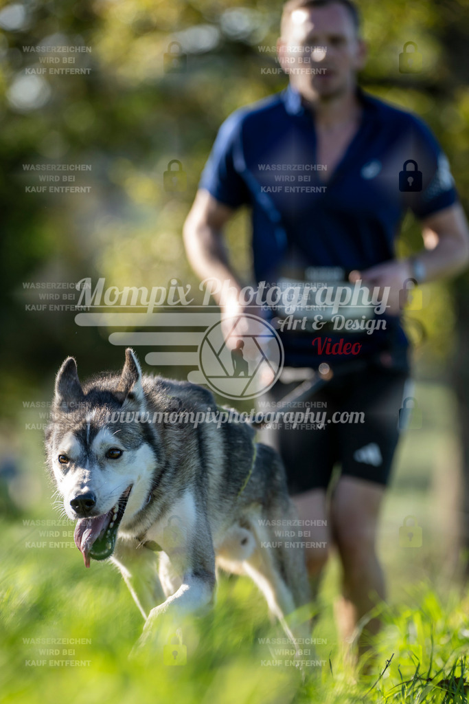 MompixPhotography_20TSB_E3_Run-176 | PayLife