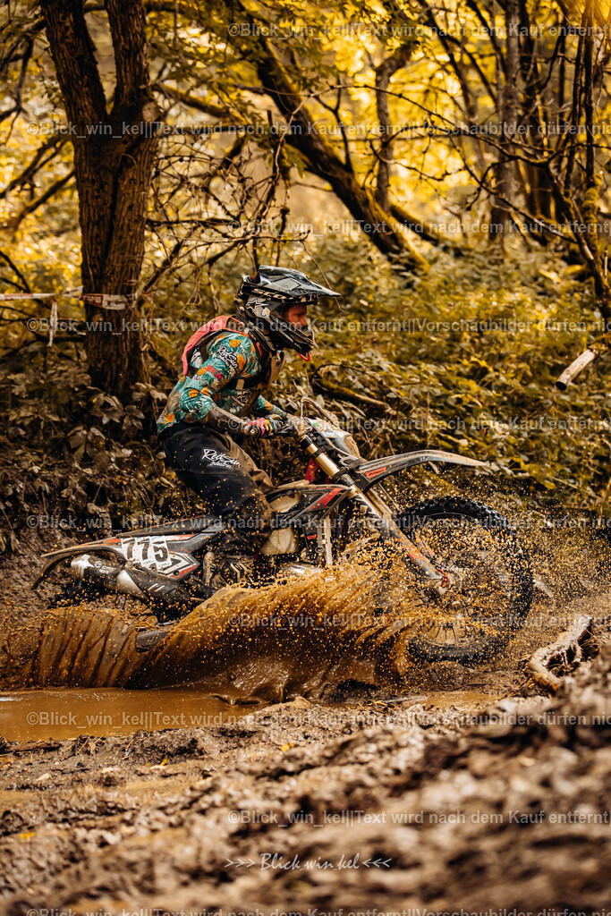 E68A6161 | blick_win_kel