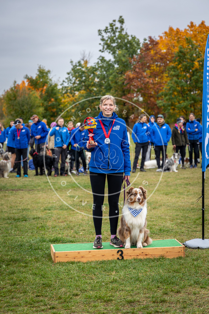 Pfotenfotografie_0L8A0621 | Hundefotografie, Tierfotograf, Pfotenfotografie, Fotoshooting Hund, Hunde Portrait, Hundesport, Hundeportraits, Heideshooting, Hunde, Sportfotograf, Hundefotograf, Turnierhundsport, THS,  - Realisiert mit Pictrs.com