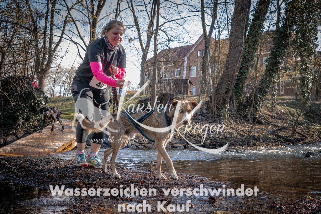 0838_ZZ92594 | kk-dogfotos