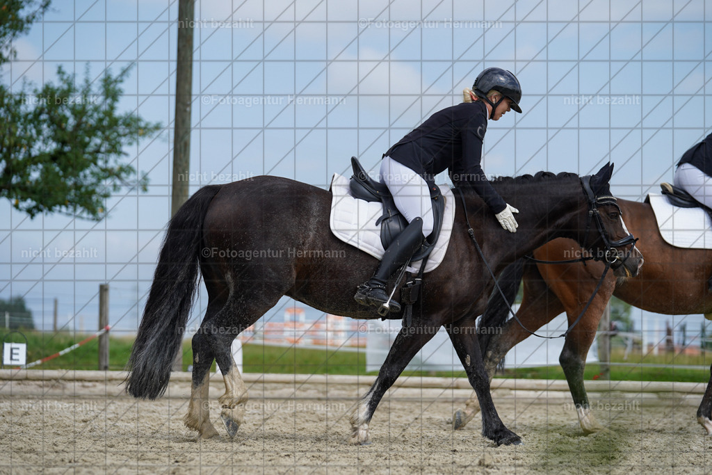 20230826-FAH05116 | Forstinning, 2023, Dressurturnier, Turniersportbilder, Turnierfotografen Bayern, Fotoagentur Herrmann, Reitsportfotografie, Turnierbilder
