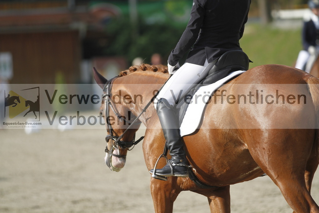 _MG_5835 | equestrian-live-com